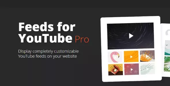 Feeds for YouTube Pro - The #1 Custom YouTube Feed Plugin for WordPress