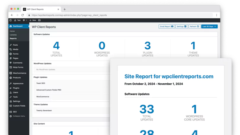 WP Client Reports Pro