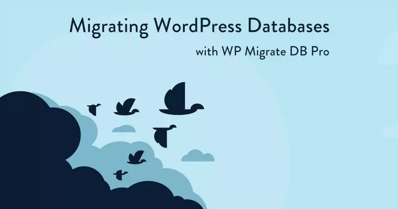 WP Migrate DB Pro