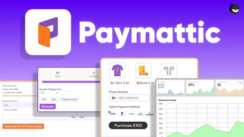 Paymattic Pro - WordPress Payments and Donations Made Simple