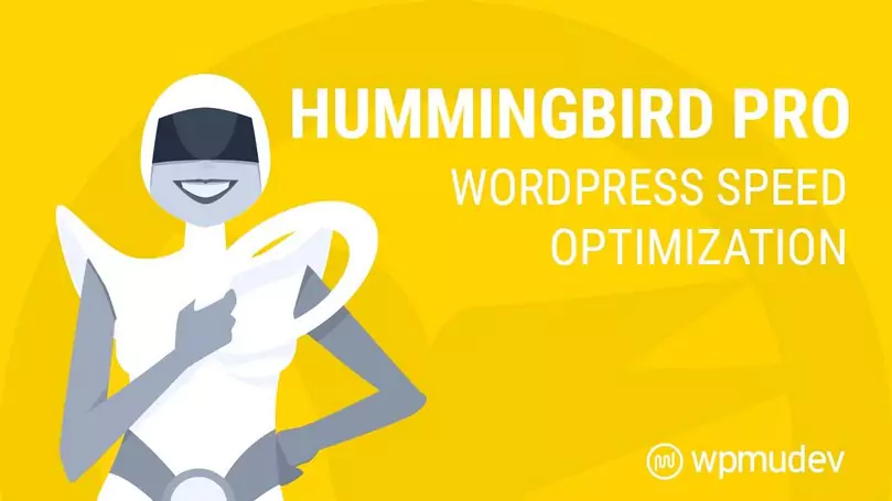 Hummingbird Pro - WordPress Performance Plugin