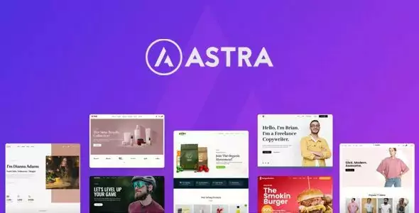 Astra Pro Addon - Perfect Theme for Any Website