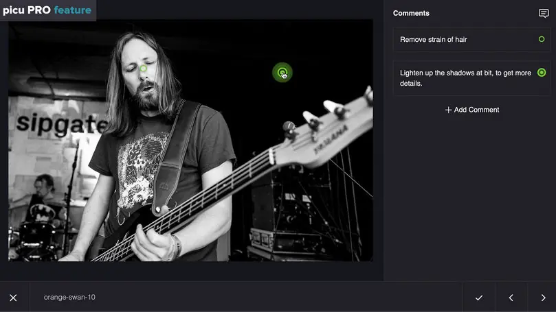 picu Pro - Online Photo Proofing with WordPress